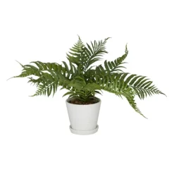 Kirkland's Home River Rock Fern In Ribbed White Planter- Arrangements & Greenery