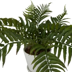 Kirkland's Home River Rock Fern In Ribbed White Planter- Arrangements & Greenery