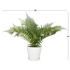 Kirkland's Home River Rock Fern In Ribbed White Planter- Arrangements & Greenery