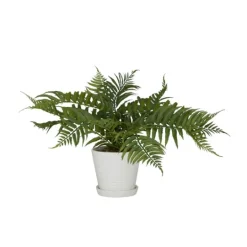 Kirkland's Home River Rock Fern In Ribbed White Planter- Arrangements & Greenery
