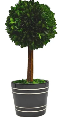 Kirkland's Home Round Boxwood Topiary In Black Planter, 14 In.- Trees & Topiaries