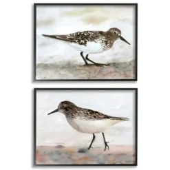 Kirkland's Home Sandpiper On Coast Framed 2Pc Canvas Art Print Set- Framed Art