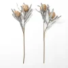 Kirkland's Home Sandy Protea Stem- Stems & Bouquets