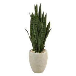 Kirkland's Home Sansevieria Arrangement In Sand Planter- Trees & Topiaries