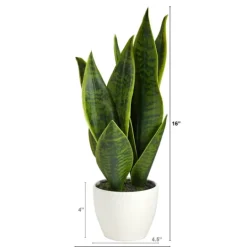 Kirkland's Home Sansevieria Arrangement In White Planter- Arrangements & Greenery