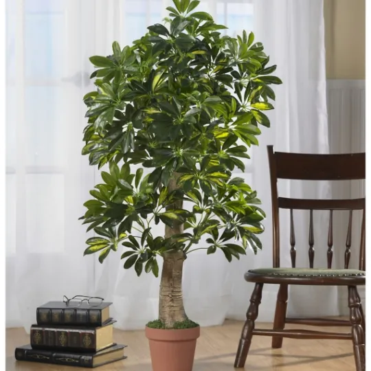 Kirkland's Home Schefflera Tree In Terra Cotta Planter, 4 Ft.- Trees & Topiaries