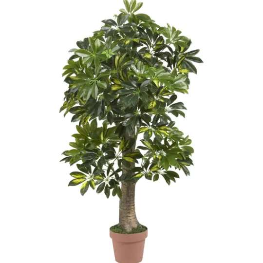 Kirkland's Home Schefflera Tree In Terra Cotta Planter, 4 Ft.- Trees & Topiaries