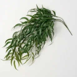 Kirkland's Home Seeded Blade Eucalyptus Spray- Stems & Bouquets