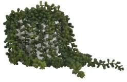 Kirkland's Home Seedum In White Bowl Planter- Arrangements & Greenery