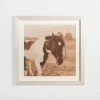 Kirkland's Home Sepia Horse On Linen Framed Art Print- Framed Art
