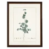 Kirkland's Home Sida Greenery Black Beaded Framed Art Print- Framed Art