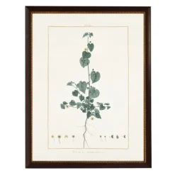 Kirkland's Home Sida Greenery Black Beaded Framed Art Print- Framed Art