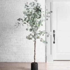 Kirkland's Home Silver Dollar Eucalyptus Tree In Brown Planter- Trees & Topiaries