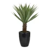Kirkland's Home Sisal Palmtree In Sleek Black Planter- Trees & Topiaries