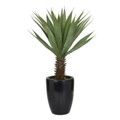 Kirkland's Home Sisal Palmtree In Sleek Black Planter- Trees & Topiaries