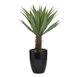 Kirkland's Home Sisal Palmtree In Sleek Black Planter- Trees & Topiaries