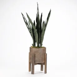 Kirkland's Home Snake Plant In Round Wooden Planter Stand, 36 In.- Arrangements & Greenery