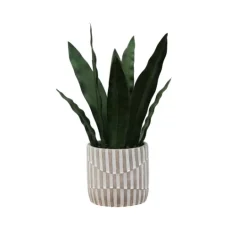 Kirkland's Home Snake Plant In Striped Pot- Arrangements & Greenery