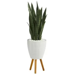 Kirkland's Home Snake Plant In White Tri-Pod Planter- Trees & Topiaries