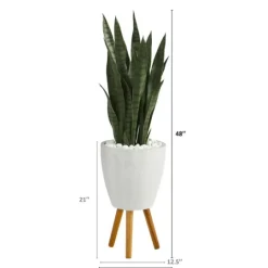 Kirkland's Home Snake Plant In White Tri-Pod Planter- Trees & Topiaries