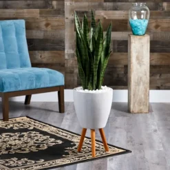 Kirkland's Home Snake Plant In White Tri-Pod Planter- Trees & Topiaries