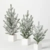 Kirkland's Home Snowy Pine White Potted Christmas Trees, Set Of 3- Arrangements & Greenery