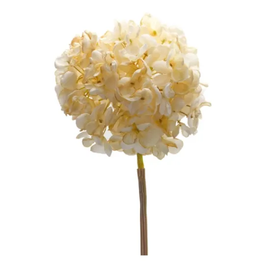 Kirkland's Home Soft Cream Hydrangea Stems, Set Of 6- Stems & Bouquets