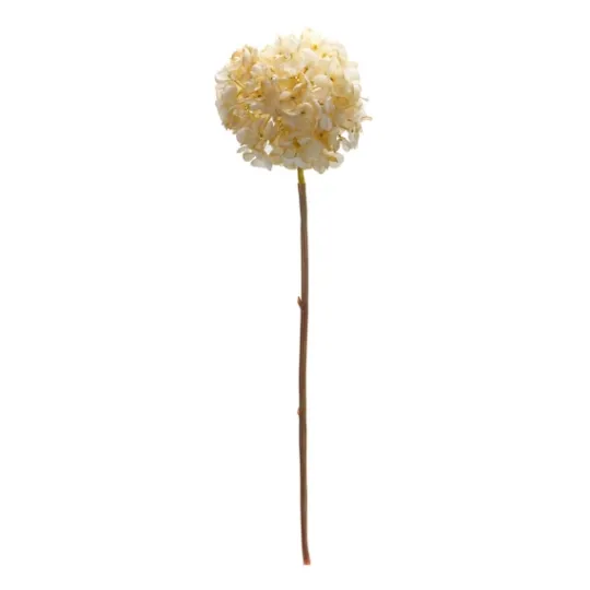 Kirkland's Home Soft Cream Hydrangea Stems, Set Of 6- Stems & Bouquets