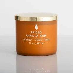 Kirkland's Home Spiced Vanilla Rum Triple Wick Jar Candle- Candles
