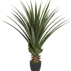 Kirkland's Home Spiked Agave Plant In Nursery Planter- Arrangements & Greenery
