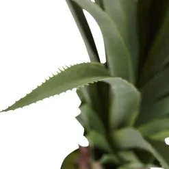 Kirkland's Home Spiked Agave Plant In Nursery Planter- Arrangements & Greenery