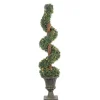 Kirkland's Home Spiral Pre-Lit Boxwood Potted Topiary- Trees & Topiaries