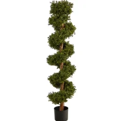 Kirkland's Home Spiraling Boxwood Topiary In Black Planter- Trees & Topiaries