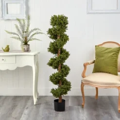 Kirkland's Home Spiraling Boxwood Topiary In Black Planter- Trees & Topiaries