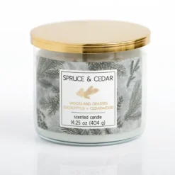 Kirkland's Home Spruce And Cedar Triple Wick Jar Candle- Candles