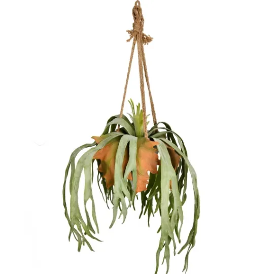 Kirkland's Home Staghorn Fern In Hanging Cone Planter- Arrangements & Greenery
