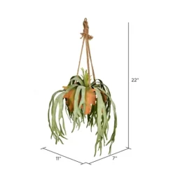 Kirkland's Home Staghorn Fern In Hanging Cone Planter- Arrangements & Greenery