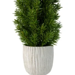 Kirkland's Home Stone Base Fir Mini Potted Christmas Tree- Trees & Topiaries