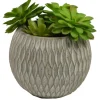 Kirkland's Home Succulent Arrangement In Round Cement Planter- Arrangements & Greenery