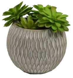 Kirkland's Home Succulent Arrangement In Round Cement Planter- Arrangements & Greenery