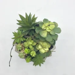 Kirkland's Home Succulent Arrangement In Zig-Zag Gray Planter- Arrangements & Greenery