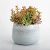Kirkland's Home Succulent Arrangement In Blue Stone Planter- Arrangements & Greenery
