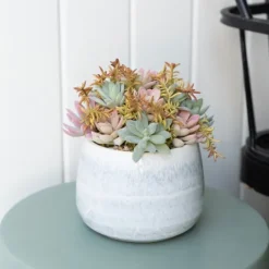 Kirkland's Home Succulent Arrangement In Blue Stone Planter- Arrangements & Greenery