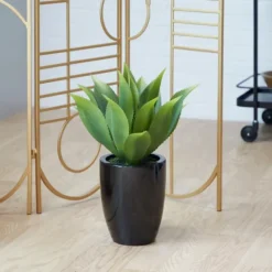 Kirkland's Home Succulent In Sleek Black Planter- Arrangements & Greenery