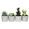 Kirkland's Home Succulents In Ceramic Pots, Set Of 4- Arrangements & Greenery