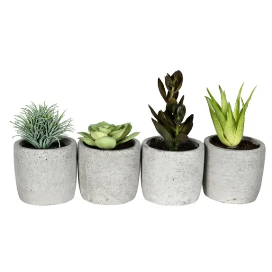 Kirkland's Home Succulents In Ceramic Pots, Set Of 4- Arrangements & Greenery