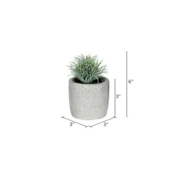 Kirkland's Home Succulents In Ceramic Pots, Set Of 4- Arrangements & Greenery