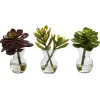 Kirkland's Home Succulents In Glass Vases, Set Of 3- Arrangements & Greenery
