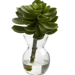 Kirkland's Home Succulents In Glass Vases, Set Of 3- Arrangements & Greenery