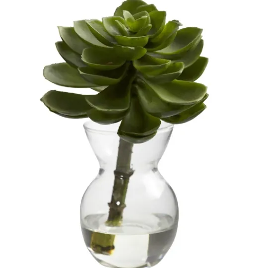 Kirkland's Home Succulents In Glass Vases, Set Of 3- Arrangements & Greenery